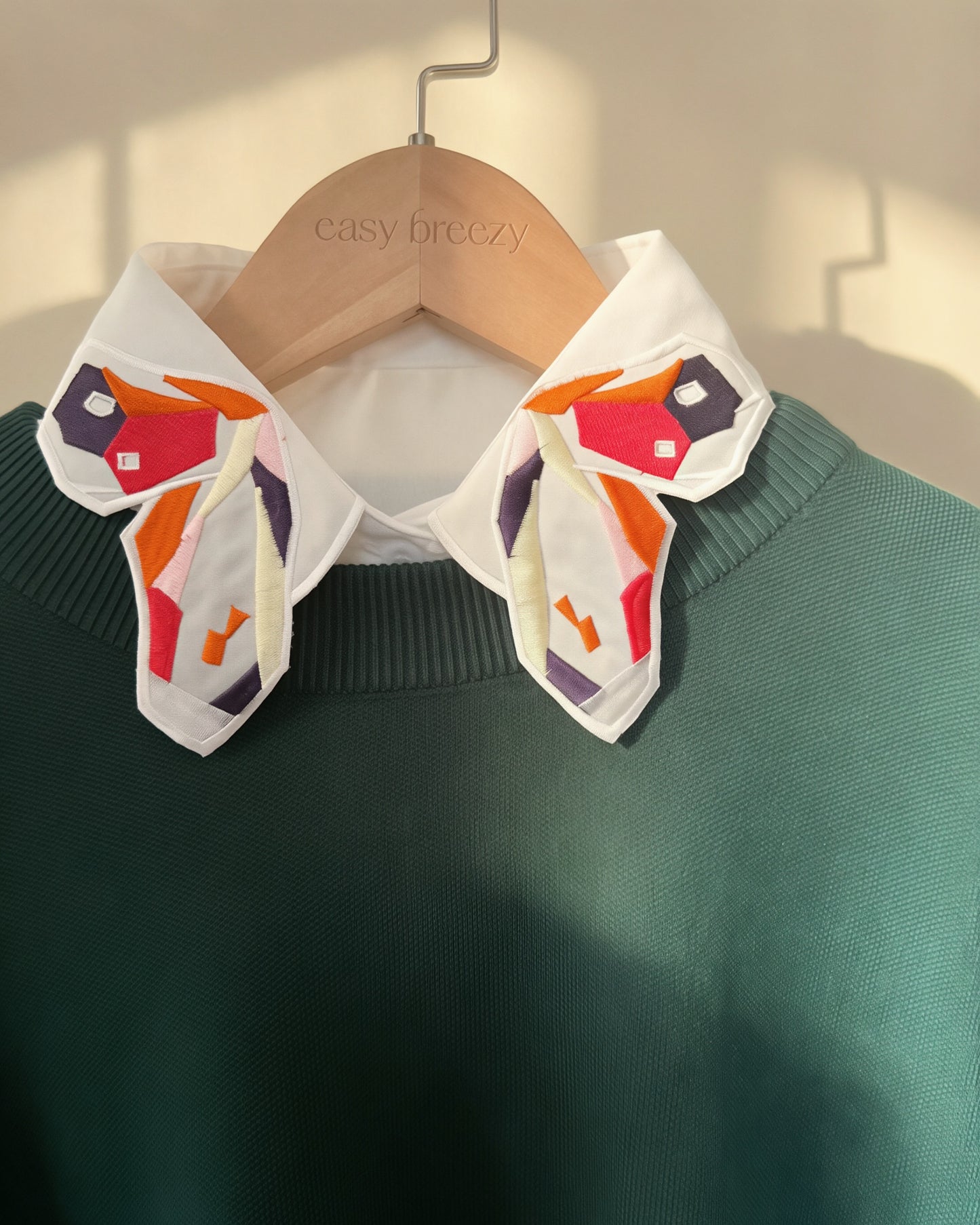 Detachable Collars