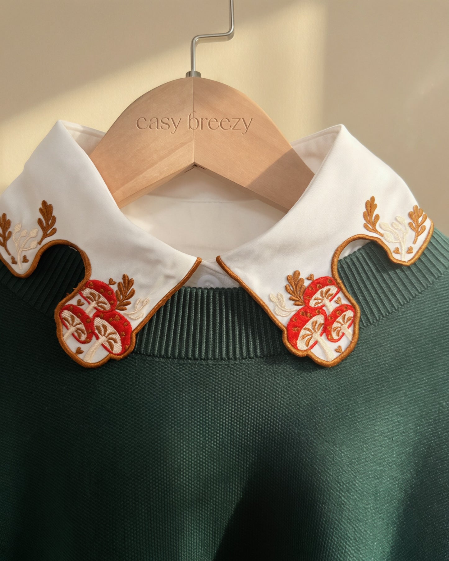 Detachable Collars
