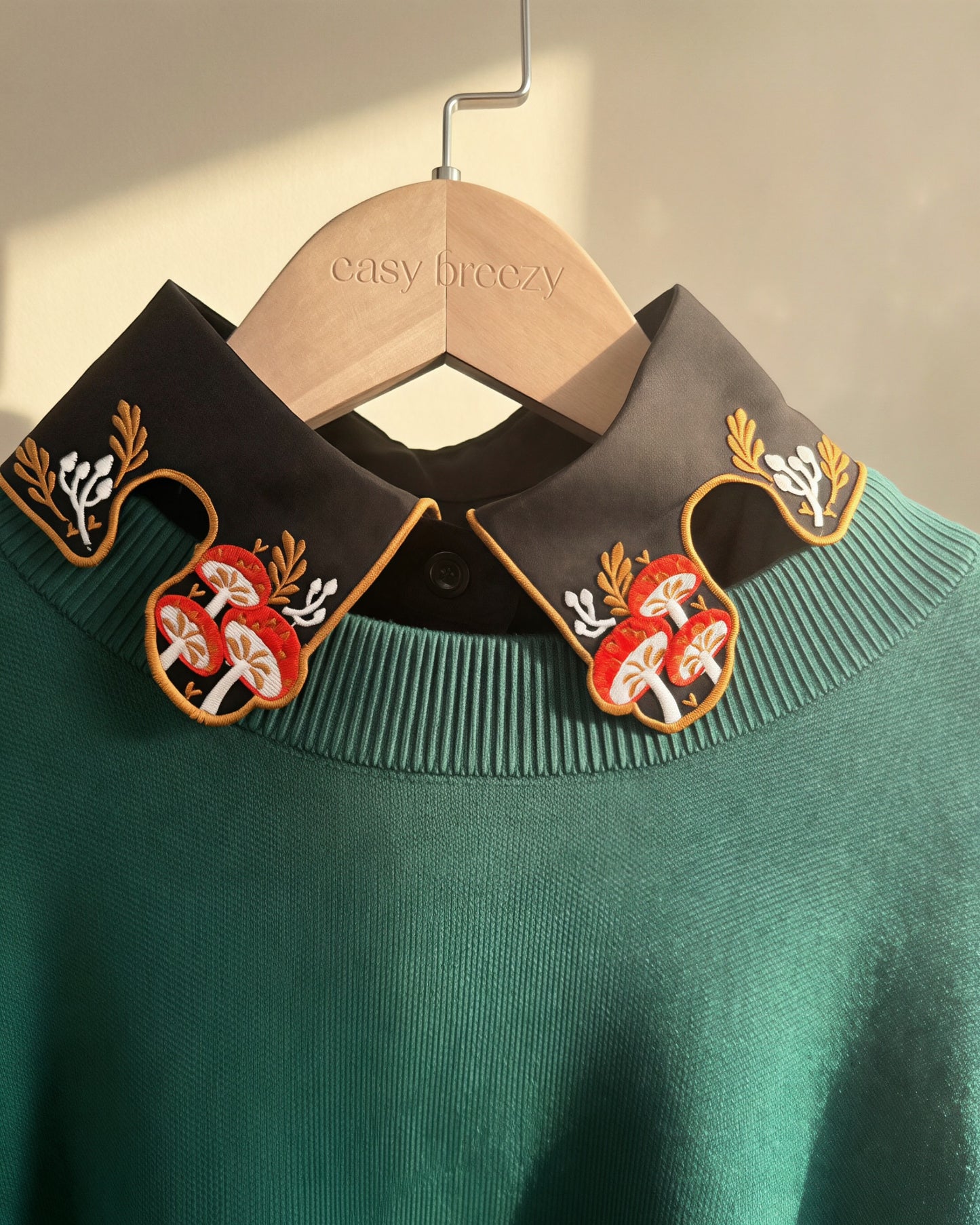 Detachable Collars